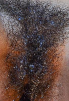 Favoritos peludos al azar