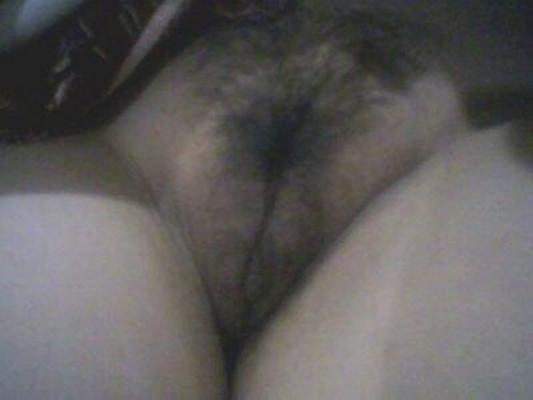 meilleure chatte malaisienne