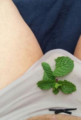Culotte Bite