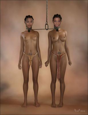 faux cel et moni
