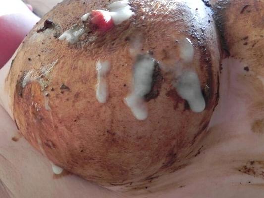 Une pute excitée et perverse