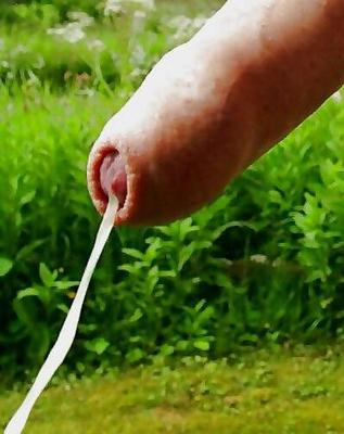 cum, sperma, samen