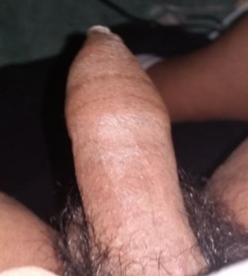 MÉLANGE DE BITES NOIRES