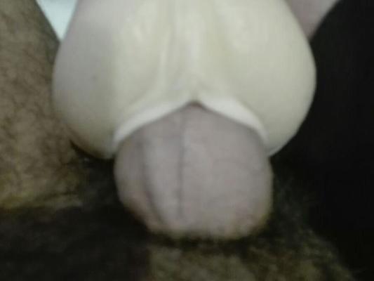 JOUET DE CHATTE