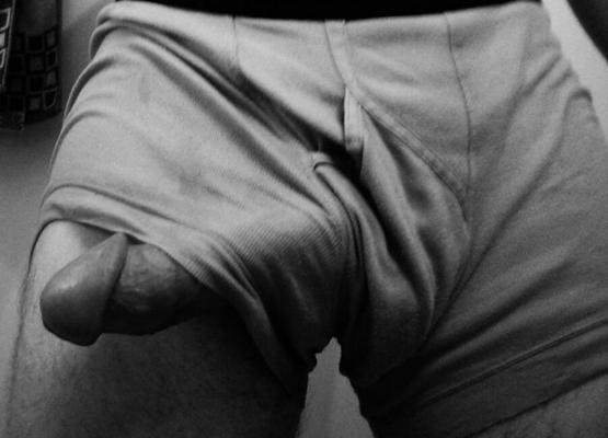 My cock: an exhibition