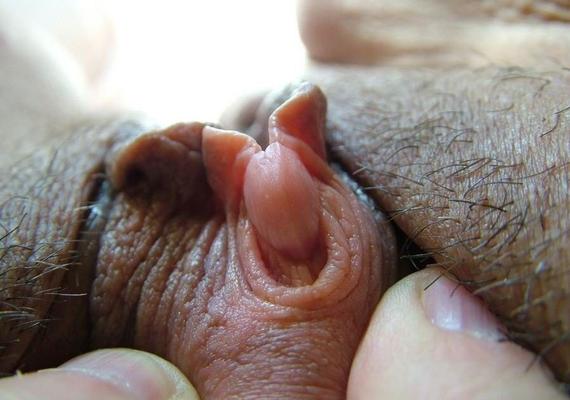 Riesige CLIT-Galerie