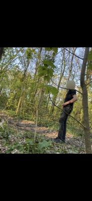 balade en foret