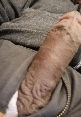 My Dark Chocolate Bar