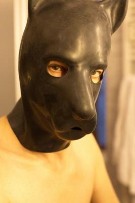 Bitch Daddy – Ich in der Hundemaske