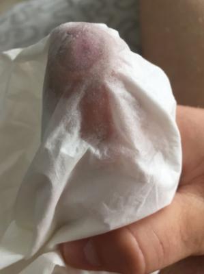 Precum soaked tissue