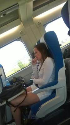 mésange percée dans le train