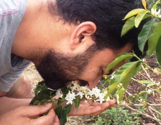 smelling the jasmine