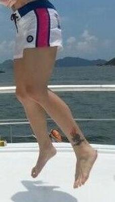 Pies HK