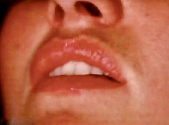 SAMANTHA FOX (brune américaine classique)