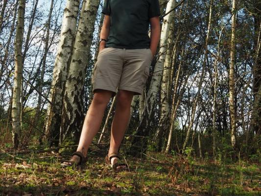 Dejando que todo vuelva a pasar el rato en el bosque