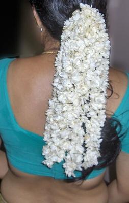 desi horny indian tamil hooker kalpana devi exposed