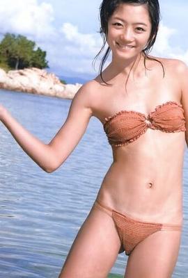 愛らしい日本の美しさ