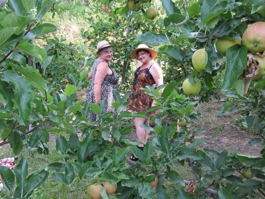 Two horny grannies