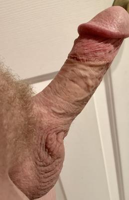 私のディックを評価してください