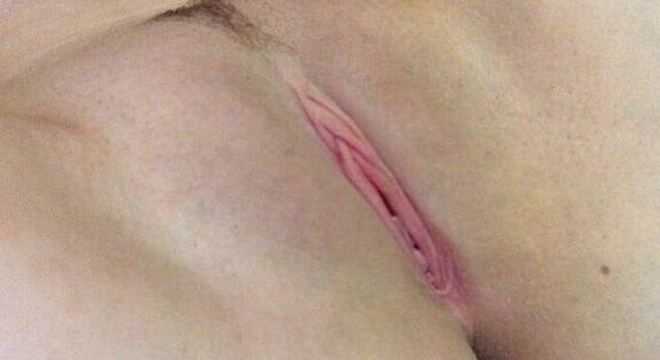 Chatte Rose XLIII