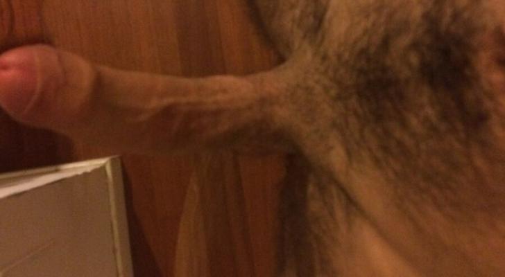A bit of my Cock kisss