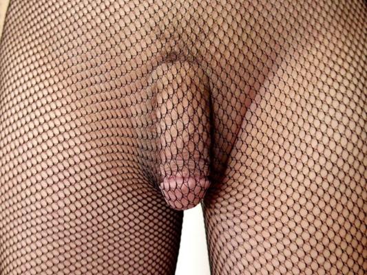 sissies in fishnets