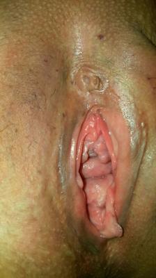 Chatte prétendument pakistanaise