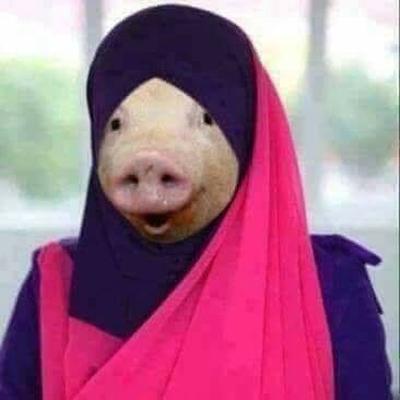 La vraie raison des burqas