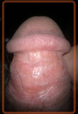 My COCK for your TRIBUTE