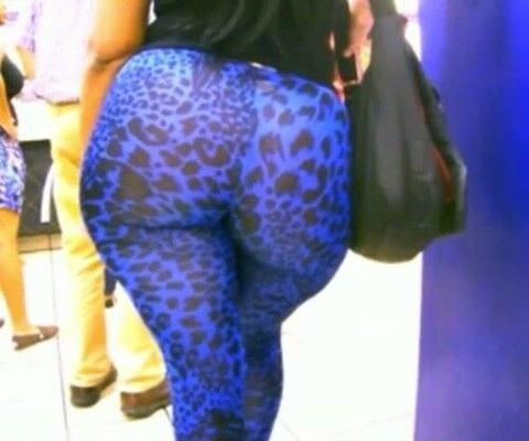 Candide épaisse bulle ronde Jiggly Latina bleu spandex butin