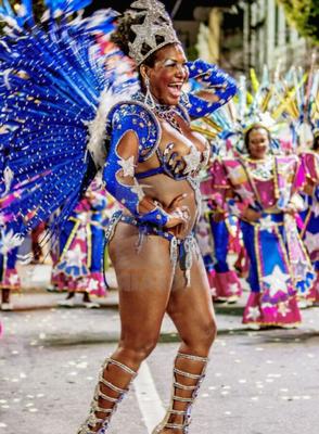 XV Carnaval Brasileño