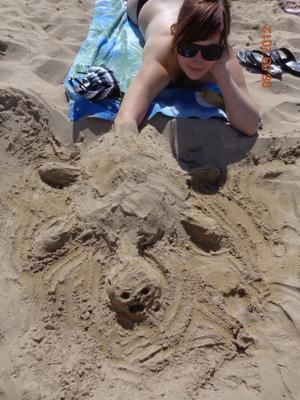 tortue