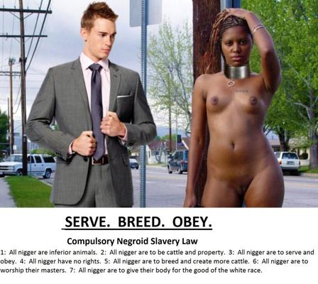 Compulsory Negroid Slavery Law