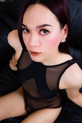 Asian Trans