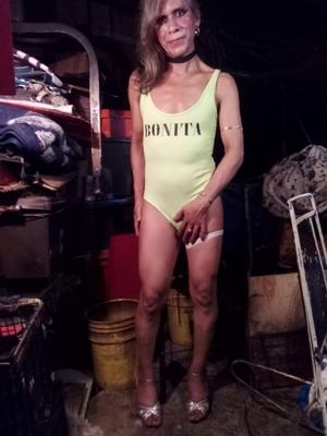 lucia vanesa travesti_