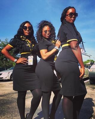 Ebony Pantyhose flight attendants