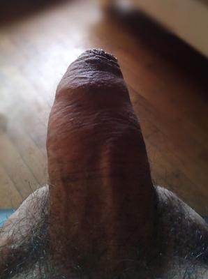Ma bite... à moitié dure :-P