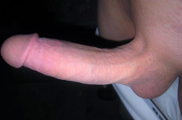 Genitals - Cunts And Cocks Close Ups