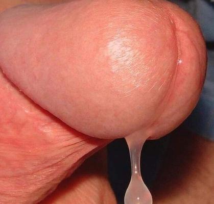Cocks At Work