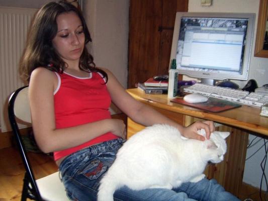 Chiennasse a gros pif pour insultes