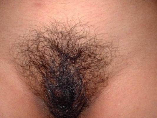 Ricura peludita 26