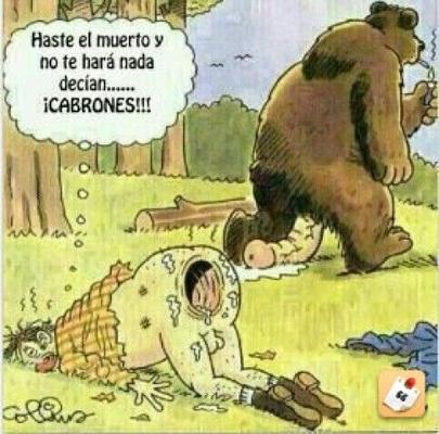 Пруева