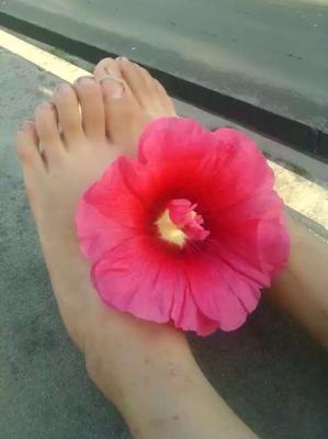 Amateurs de pieds asiatiques