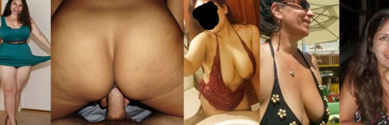 un ancien persan d'un an encore à moitié chaud
