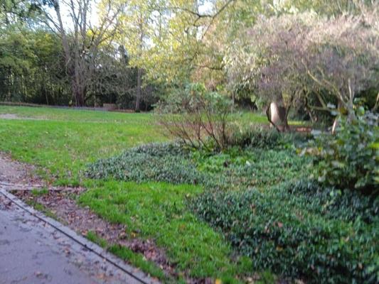 Holland Park, LONDRES, Ouest TA