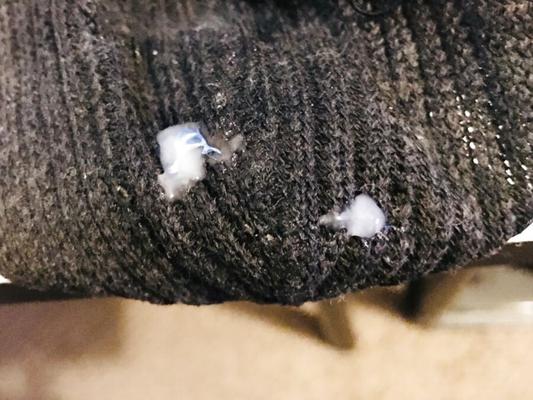 Schwarzer Jock mit Spermalappen
