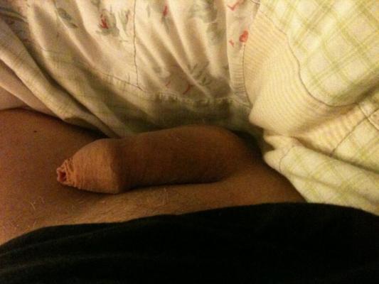 English Cock